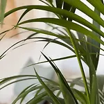 Lovely Casita Jade プラヤ・ブランカ