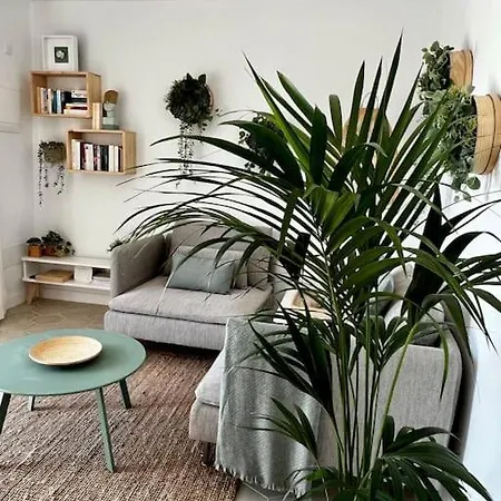 דירה Lovely Casita Jade *