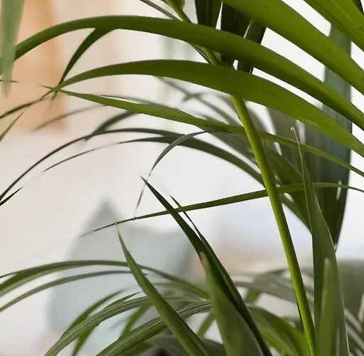 Lovely Casita Jade Playa Blanca